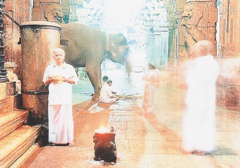 Stock image for XXX Holy. Journeys into the Spiritual Heart of India for sale by medimops