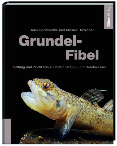 Stock image for Grundel-Fibel: Haltung und Zucht von Grundeln im S- und Brackwasser for sale by BuchZeichen-Versandhandel