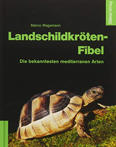 Stock image for Landschildkrten-Fibel -Language: german for sale by GreatBookPrices