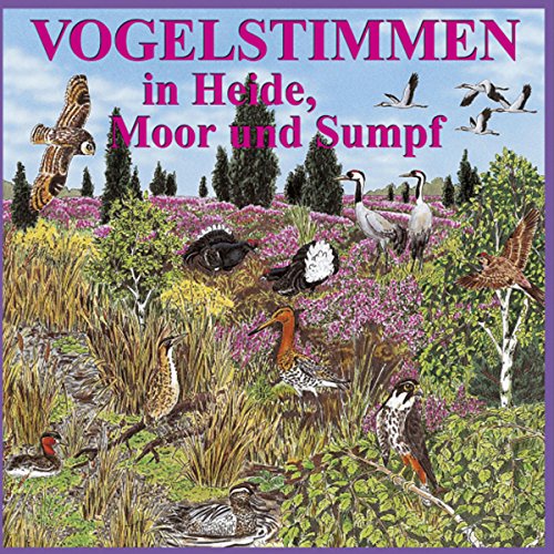 Beispielbild fr Vogelstimmen-Serie. Vogelstimmen in Park und Garten /in Feld und Flur /am Wasser /im Wald /in Heide, Moor und Sumpf /am Meer /im Gebirge: Vogelstimmen . Moor und Sumpf. CD: 25 heimische Vgel: Ed. 5 zum Verkauf von medimops