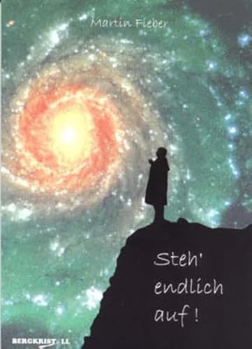 Steh' endlich auf !: Die Geschichte einer spirituellen Abhängigkeit - Fieber, Martin