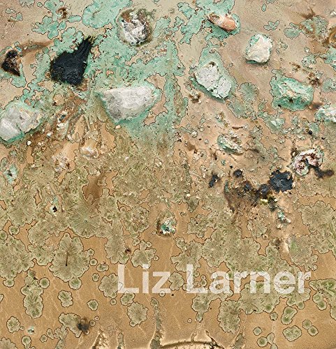 Liz Larner : Katalog zur Ausstellung Berlin-Charlottenburg 2016, Dt/engl - Liz Larner