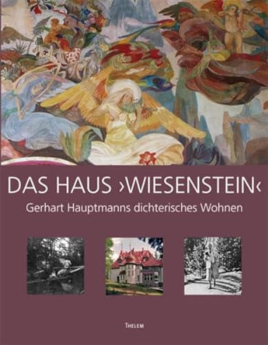Das Haus am Wiesenstein (9783935712361) by Unknown Author
