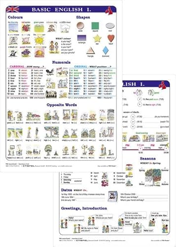 Beispielbild fr Fixi Lern Cards / Basic English I - Lernkarte DIN A4: FIXI-LearnCard zum Verkauf von medimops