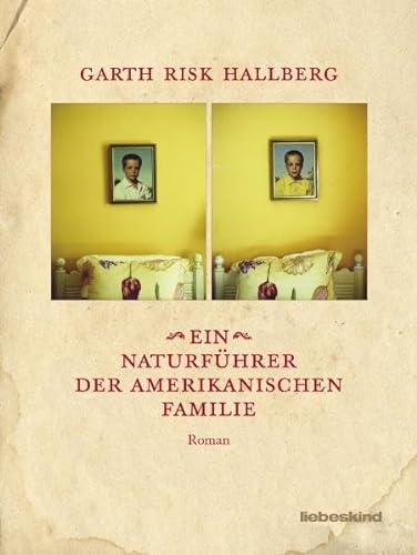 Stock image for Ein Naturfhrer der amerikanischen Familie: Roman for sale by medimops