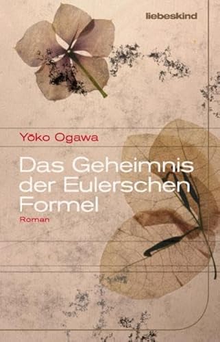 9783935890885: Das Geheimnis der Eulerschen Formel: Roman