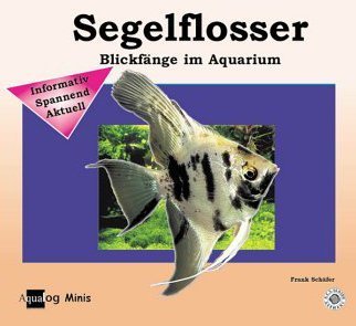 Aqualog Mini - My Angelfish (9783936027198) by Schafer, Frank