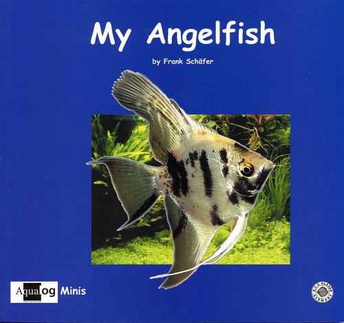 Stock image for My Angelfish (Aqualog Minis) for sale by Revaluation Books