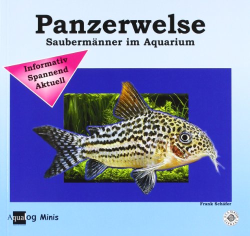Mein Panzerwels (9783936027242) by Frank SchÃ¤fer