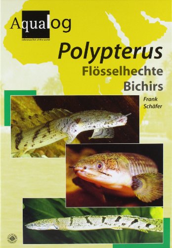 Beispielbild fr Aqualog Polypterus zum Verkauf von WeBuyBooks