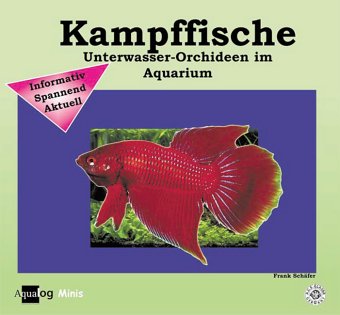 Kampffische (9783936027617) by SchÃ¤fer, Frank