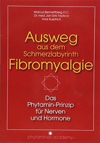 Stock image for Ausweg aus dem Schmerzlabyrinth Fibromyalgie -Language: german for sale by GreatBookPrices