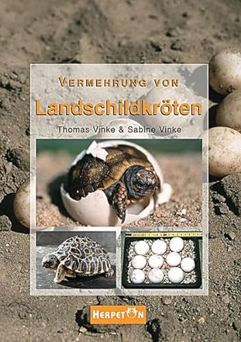 Vermehrung von Landschildkröten - Thomas Vinke, Sabine Vinke