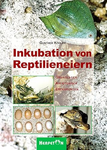 Stock image for Inkubation Von Reptilieneiern: Grundlagen, Anleitungen, Erfahrungen for sale by Revaluation Books