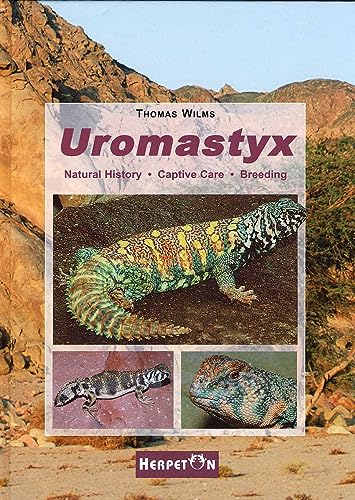Uromastyx: Natural History, Captive Care, Breeding (Spiny-Tailed Lizards) (9783936180121) by Thomas Wilms