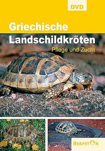 Griechische Landschildkröten, DVD