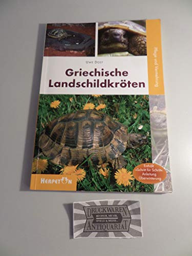 Imagen de archivo de Griechische Landschildkrten -Language: german a la venta por GreatBookPrices
