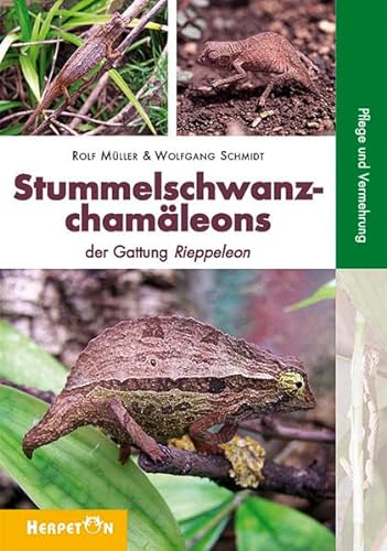 Beispielbild fr Stummelschwanzchamleons: Die Gattung Rieppeleon zum Verkauf von medimops