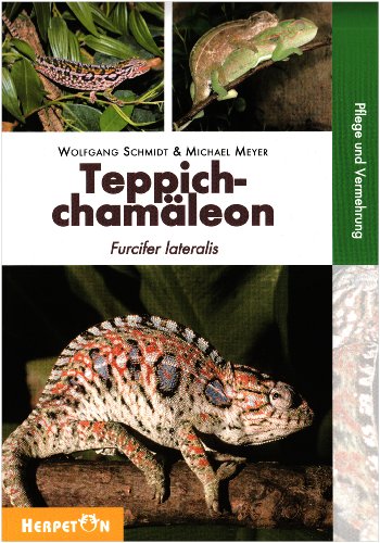 Imagen de archivo de Teppichchamleon: Furcifer lateralis a la venta por medimops