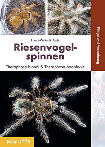 Riesenvogelspinnen : Theraposa blondi und Theraposa apophysis. Pflege und Vermehrung - Hans W Auer