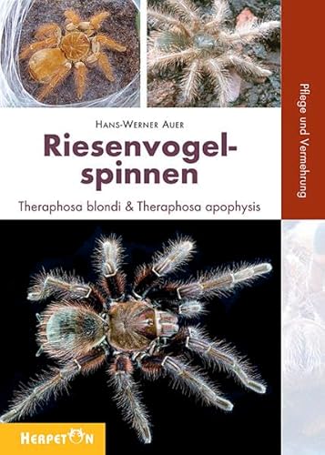 Imagen de archivo de Riesenvogelspinnen: Theraphosa blondi & Theraphosa apophysis. Pflege und Vermehrung a la venta por medimops