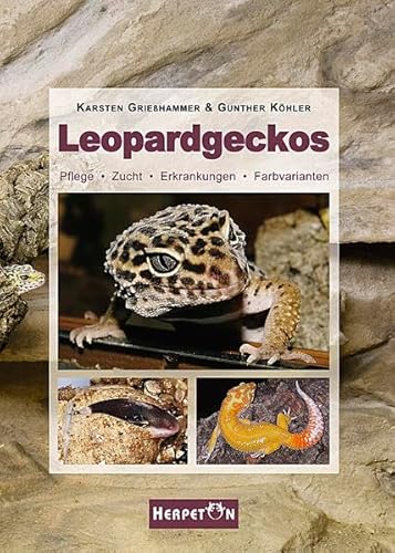 Beispielbild fr Leopardgeckos: Pflege, Zucht, Erkrankungen, Farbvarianten zum Verkauf von medimops