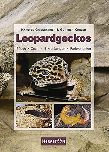 Imagen de archivo de Leopardgeckos: Pflege, Zucht, Erkrankungen, Farbvarianten a la venta por medimops