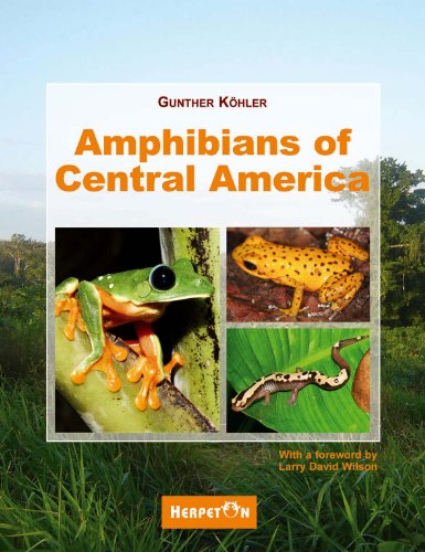 Amphibians of Central America (9783936180336) by Gunther Kohler