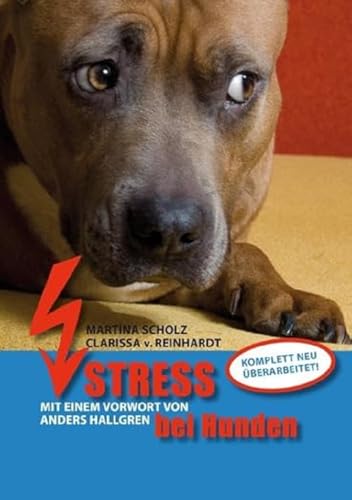 Beispielbild fr Stress bei Hunden zum Verkauf von medimops