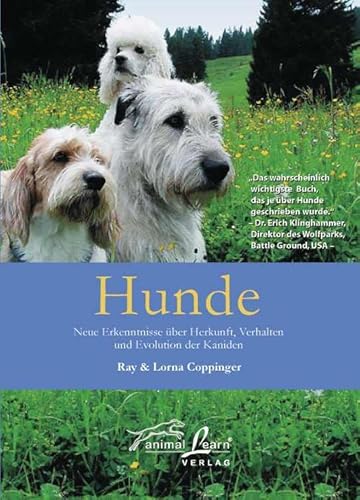 Stock image for Hunde: Neue Erkenntnisse ber Herkunft, Verhalten und Evolution der Kaniden for sale by medimops