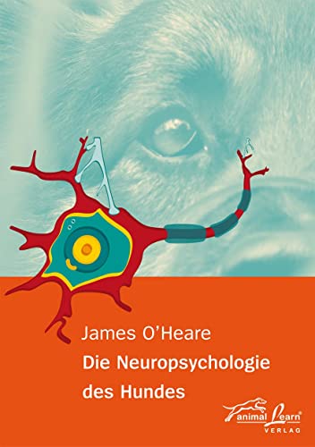 Stock image for Die Neuropsychologie des Hundes -Language: german for sale by GreatBookPrices