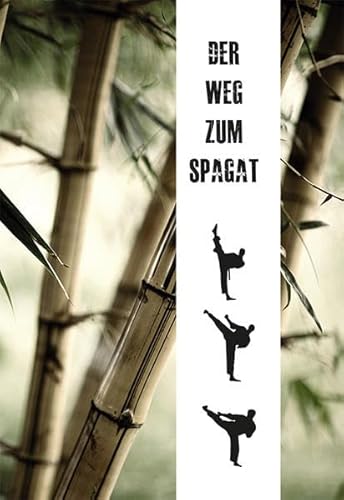Imagen de archivo de Der Weg zum Spagat -Language: german a la venta por GreatBookPrices