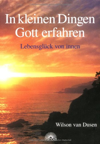 Imagen de archivo de In kleinen Dingen Gott erfahren. Lebensglck von innen a la venta por medimops