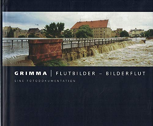 Grimma / Flutbilder - Bilderflut Eine Fotodokumentation - Pesenecker, Marita und Jonas Flöter (Hrsg.)