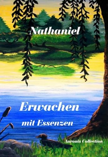 Erwachen mit Essenzen (German Edition) (9783936524109) by [???]