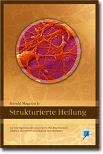 9783936679663: Strukturierte Heilung: Aus Sicht eines Osteopathen (Livre en allemand)