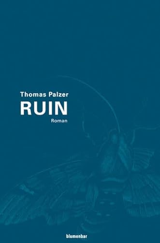Stock image for Ruin Palzer, Thomas for sale by tomsshop.eu