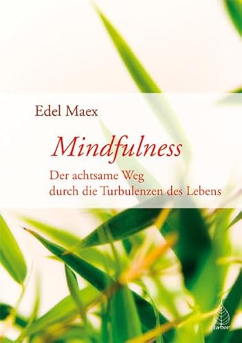 Beispielbild fr Mindfulness : der achtsame Weg durch die Turbulenzen des Lebens. zum Verkauf von Buchparadies Rahel-Medea Ruoss