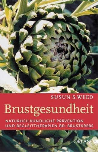 Imagen de archivo de Brustgesundheit: Naturheilkundliche Prvention und Begleittherapien bei Brustkrebs a la venta por medimops