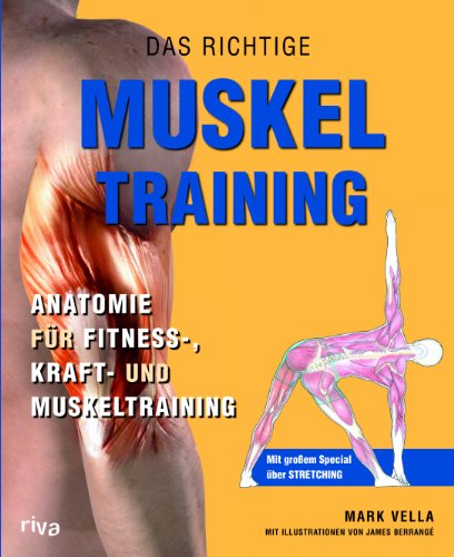 Stock image for Das richtige Muskel Training: Anatomie fr Fitness-, Kraft- und Muskeltraining for sale by medimops