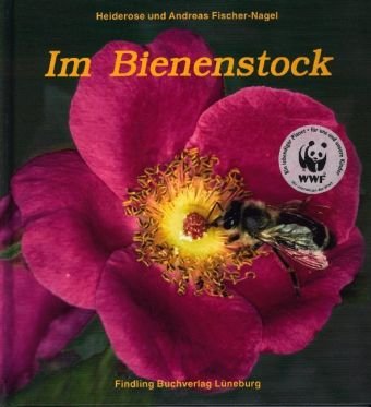 Beispielbild fr Im Bienenstock zum Verkauf von medimops