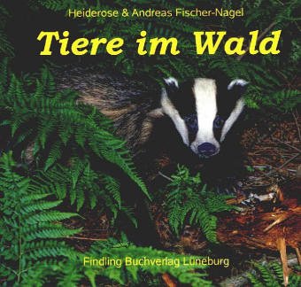 Tiere im Wald - Heiderose Fischer-Nagel