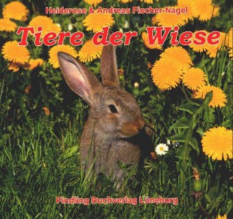 Tiere der Wiese. Kleinkind-Bilderbuch. Hartpappe - Heiderose & Andreas Fischer-Nagel