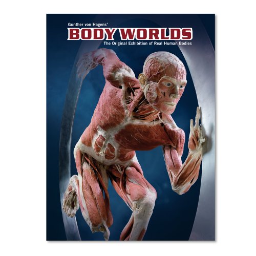 Imagen de archivo de Body Worlds a la venta por AwesomeBooks
