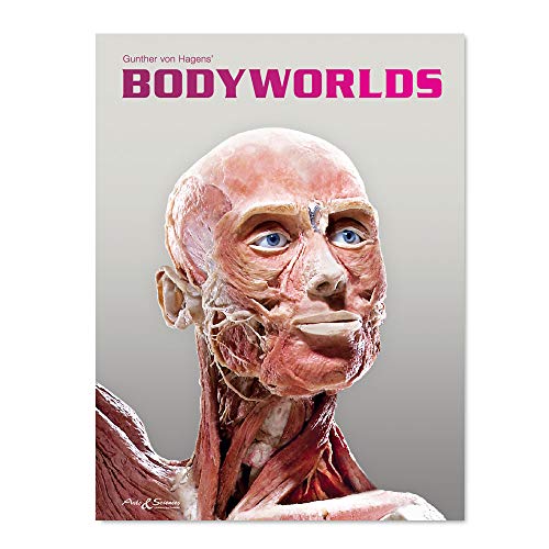 Stock image for BODY WORLDS: The Original Exhibition of Real Human Bodies for sale by Greener Books