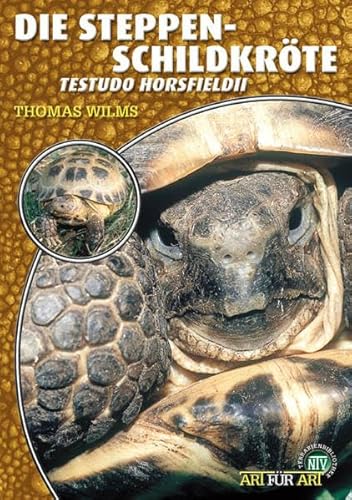 Stock image for Die Steppenschildkrte: Testudo horsfieldii for sale by medimops