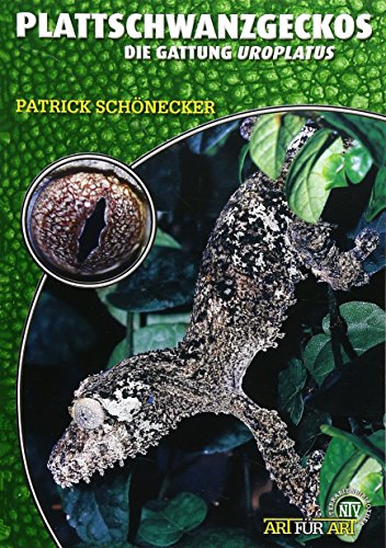 Stock image for Plattschwanzgeckos: Uroplatus for sale by medimops