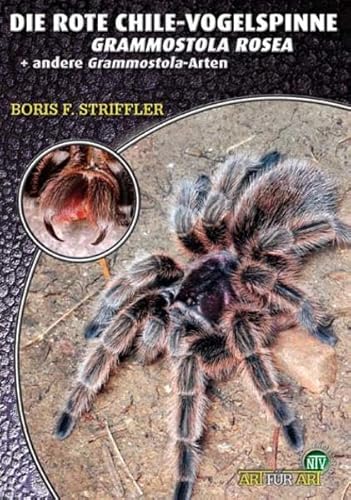 Stock image for Die Rote Chile-Vogelspinne: Grammostola Rosea Und Andere Grammostola-Arten for sale by Revaluation Books