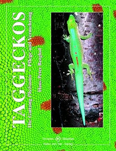 Taggeckos: Die Gattung Phelsuma - Pflege und Vermehrung - Berghof, Hans-Peter