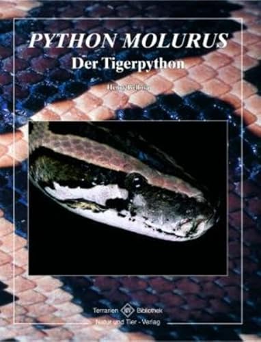 Beispielbild fr Tigerpython zum Verkauf von medimops